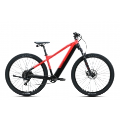 ROWER KANDS 29 HOLK E-BIKE MTB CUES 1X9 SPEED 250W 36V Bateria 15Ah